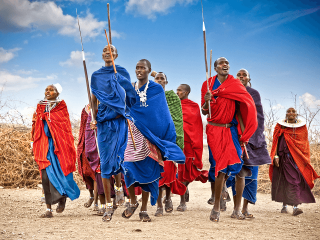 Masajovia, domorodci Kene, Afrika