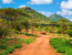 Národný park Tsavo